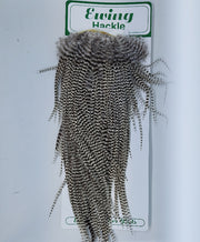 Ewing Hackle dry fly saddle with dark grizzly striped fibers