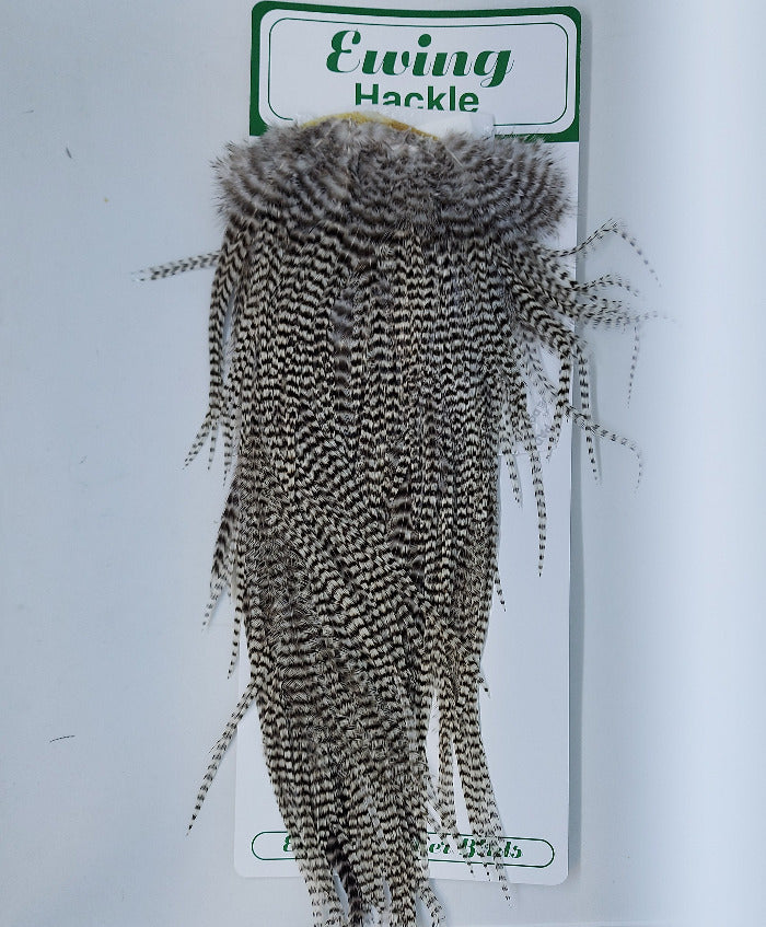 Ewing Hackle dry fly saddle with dark grizzly striped fibers