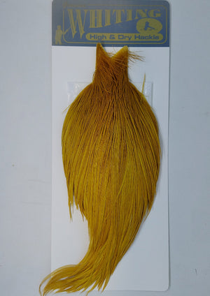 whiting hackle at a maine fly shop