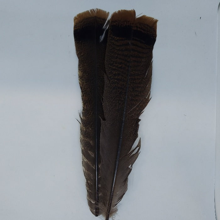 Hareline Cinnamon Tip Turkey Tail Feathers
