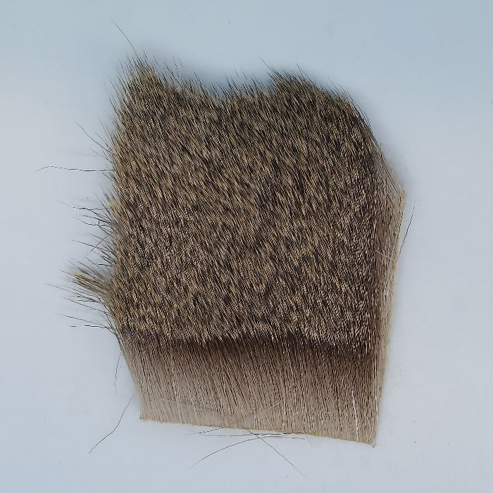 a patch of locally processed Maine deer hair used for tying caddis flies