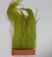 Bugger pack feather bundle, chartreuse green hackle feathers