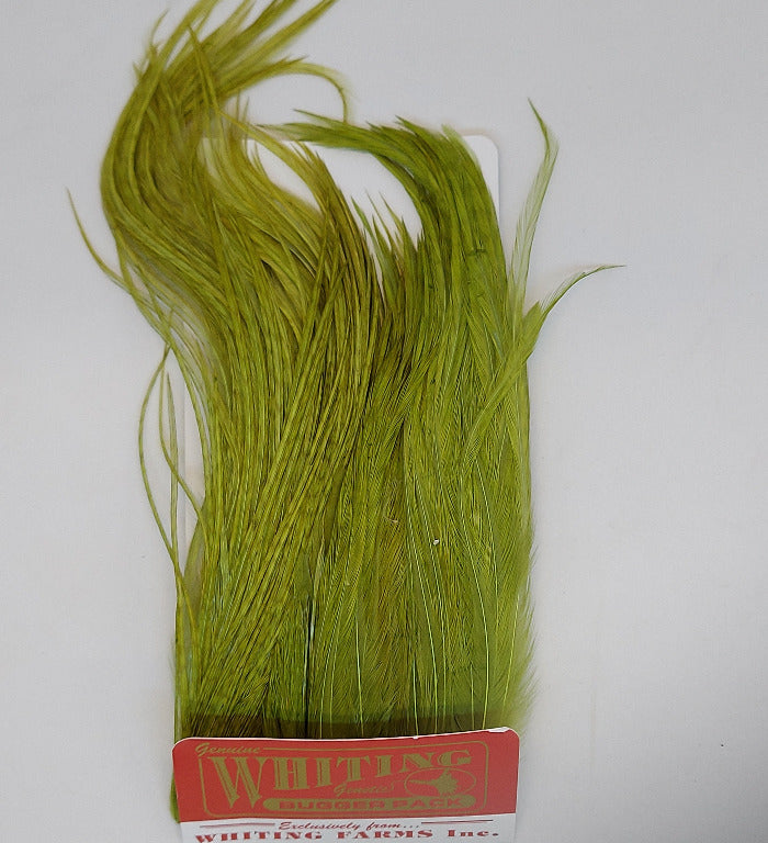 Bugger pack feather bundle, chartreuse green hackle feathers