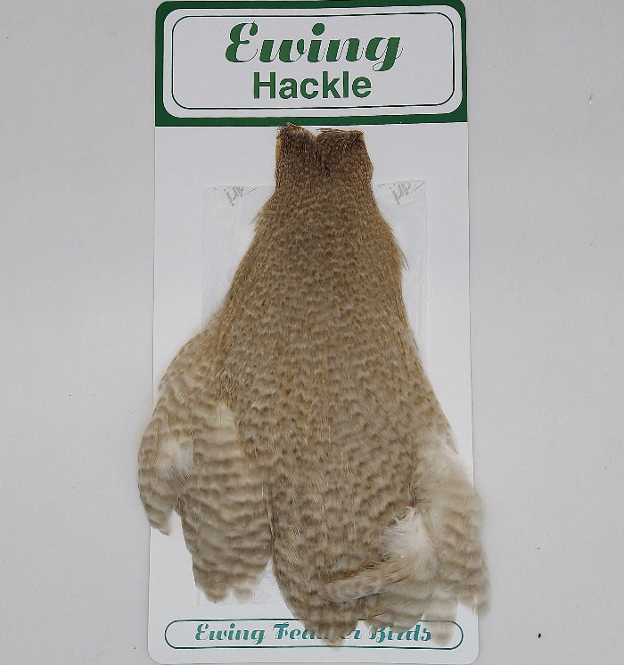 Hen cape feather, Ewing Hackle, dark brown