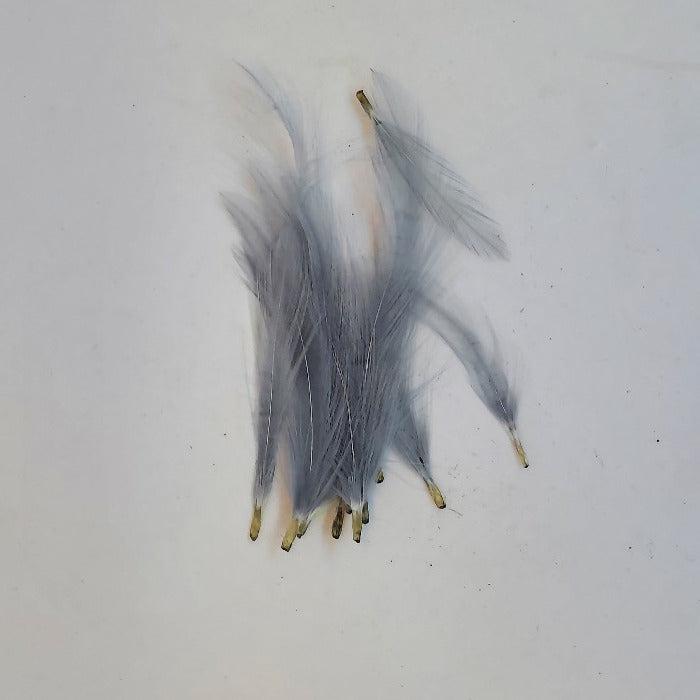Dry fly tailing feathers in blue-gray with pale yellow bases and forked tips