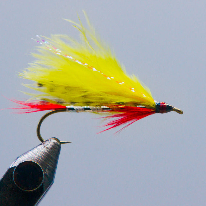A streamer fly called the Dam Wammy with a yellow marabou wing from the Rangeley Fly Shop