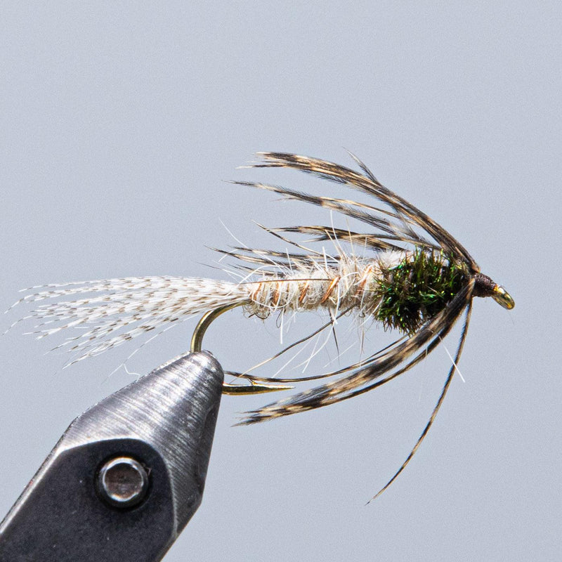 Dressed fishing fly on a hook with multicolored feather wings and fuzzy body