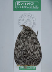 Black-and-white speckled feather hackle tuft with tapered silhouette