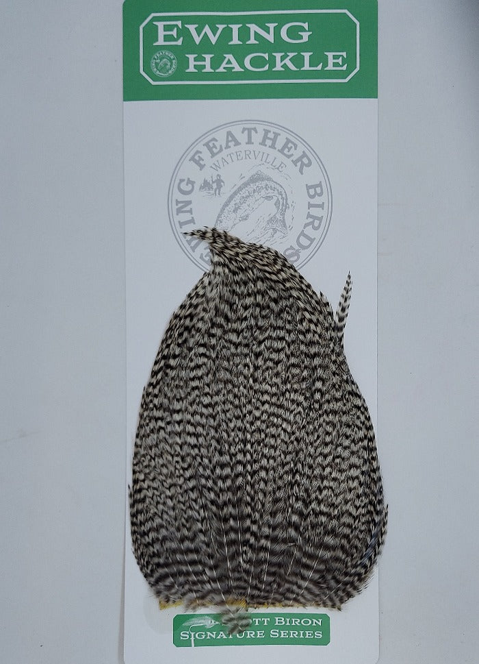 Black-and-white speckled feather hackle tuft with tapered silhouette