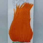 Bright orange feather hackle tuft with dense, upright barbs