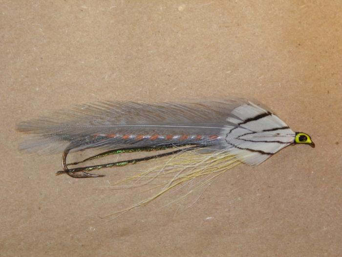 beautifully tied Gray Ghost streamer fishing fly from Rangeley Maine Fly Shop gray feather wing, silver pheasant cheek, orange and silver body