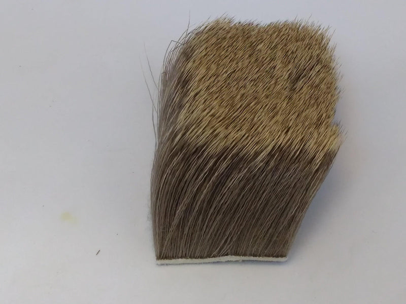 Elk hair patch with dense brown bristles, rounded top