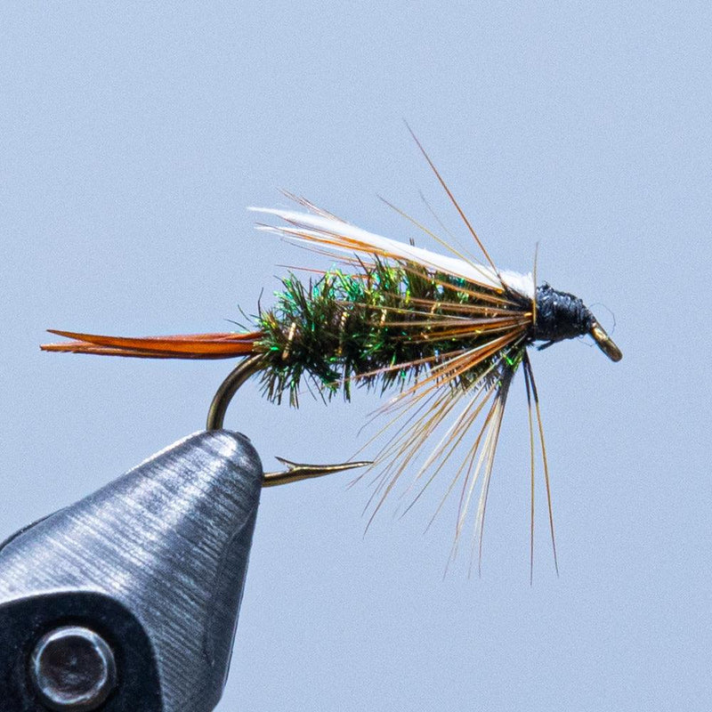 Prince fishing fly with dark body, green tinsel, and orange-brown winged tail
