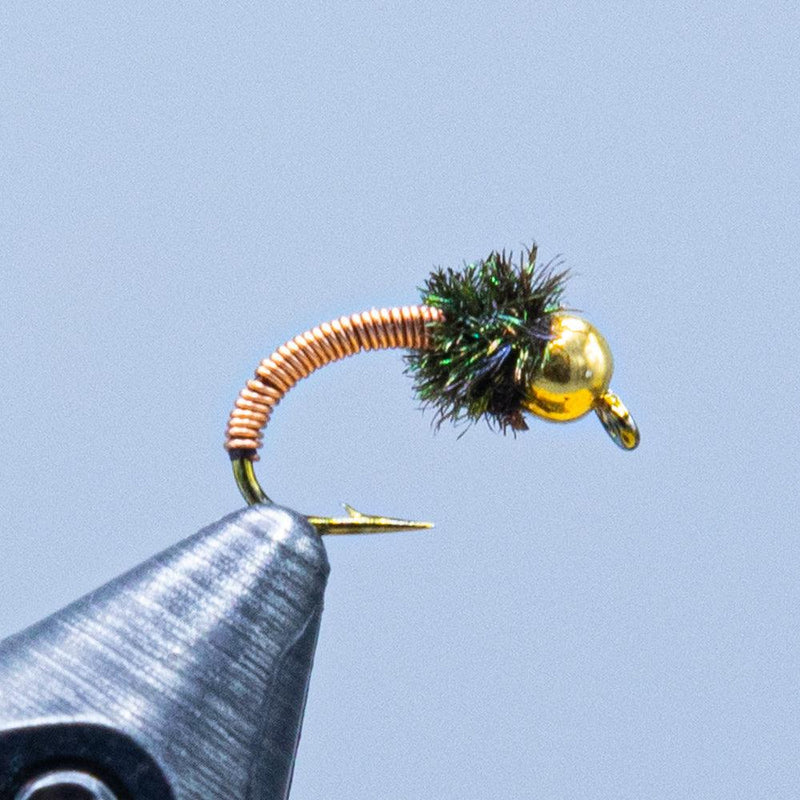 Caddis fly fishing lure with copper spring body and gold head