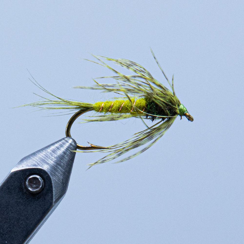 Dressed fishing fly on a hook with green and tan feather wings and body