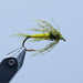 ap emerger at a maine fly shop