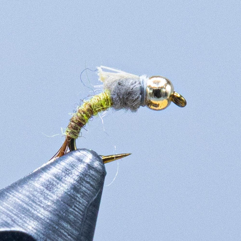 Beadhead emerger fishing fly with olive wing and gold bead on hook