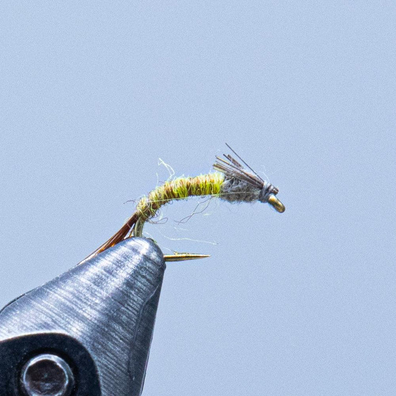 Fishing fly lure with blue ribbed body and yellow-green hackle
