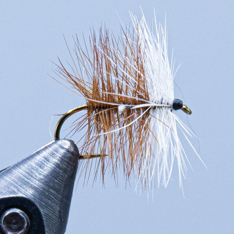 Fishing fly lure with white and tan feathered body and gold hook