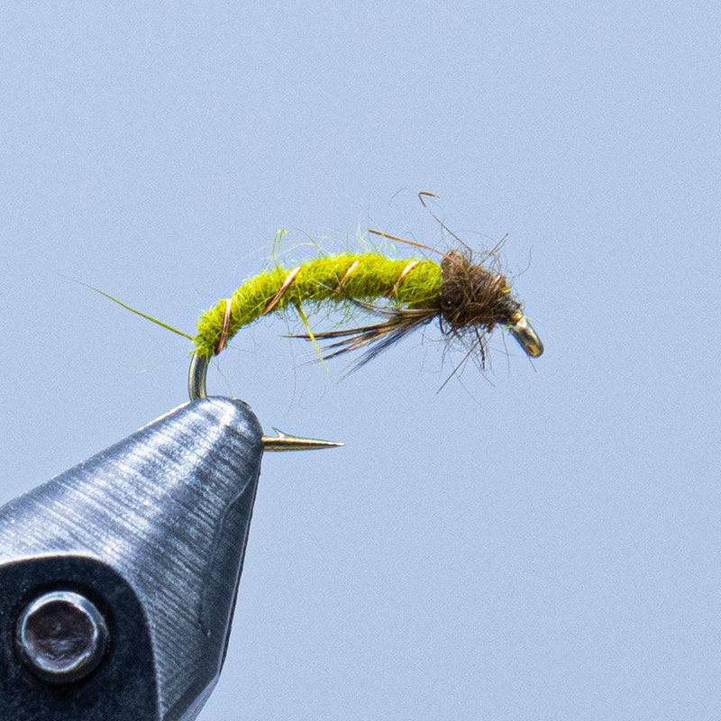 Caddis larva fly on a metal hook, olive-green fuzzy body and dark head