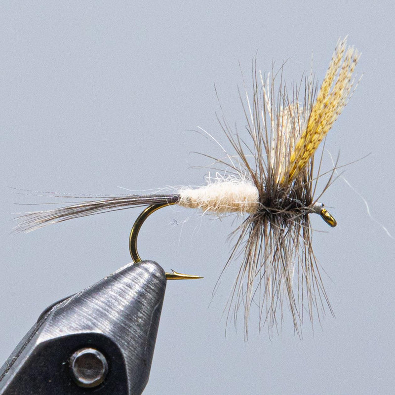 Metallic dubbing fishing fly with feather tail on curved hook