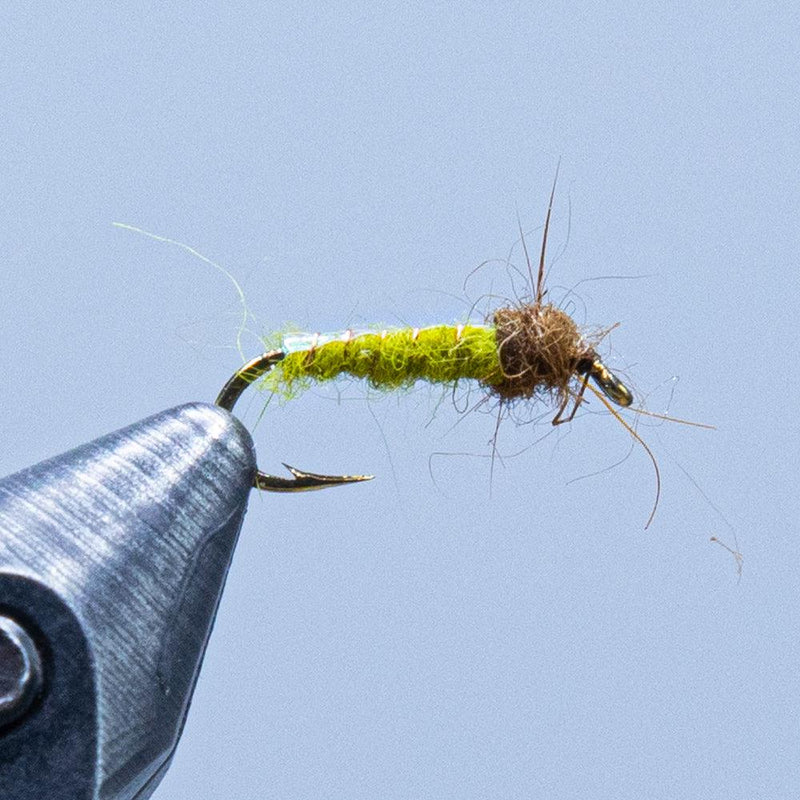 Electric Caddis fly lure with green fuzzy body and curved hook