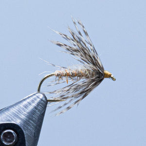 hares ear soft hackle at a maine fly shop