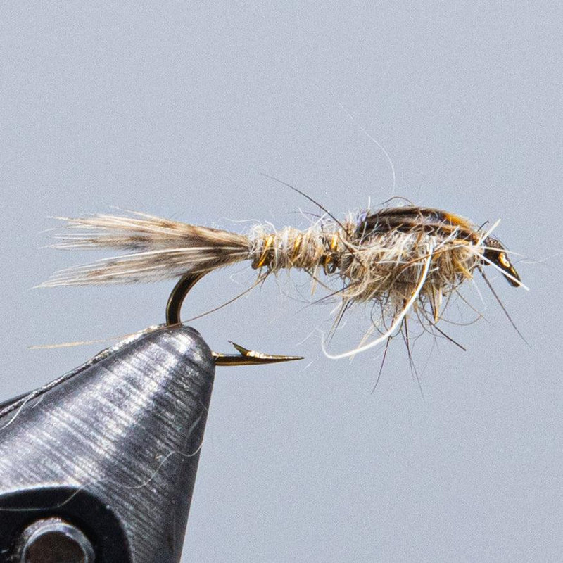 Brown hares ear dry fly with hackle, tied on a curved hook.