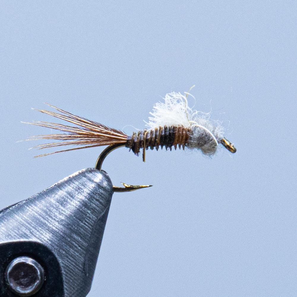 hendrickson emerger at a maine fly shop