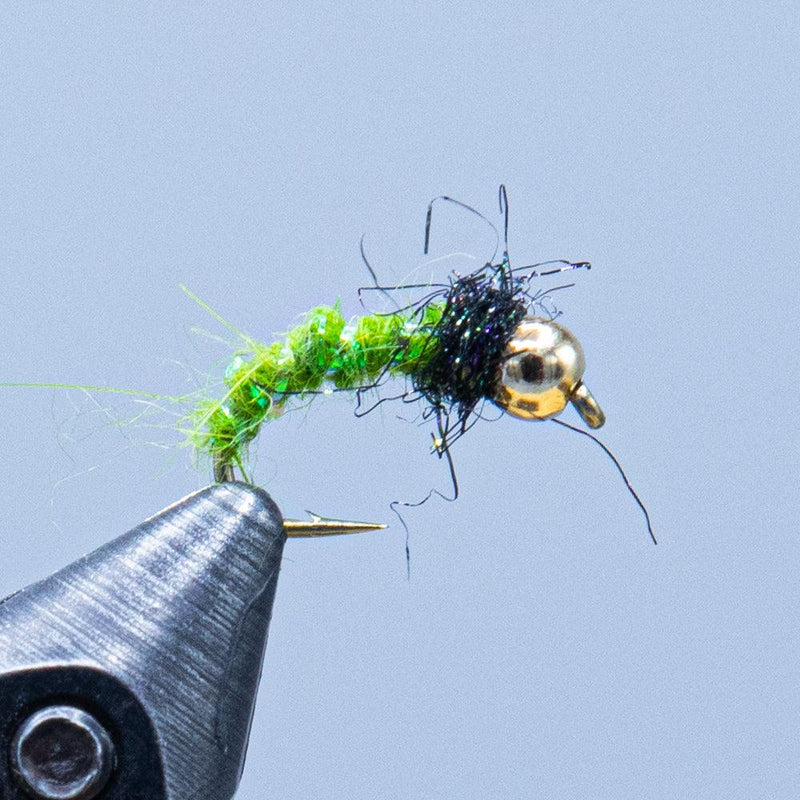 krystal caddis at a maine fly shop