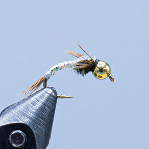 lightning bug at a maine fly shop