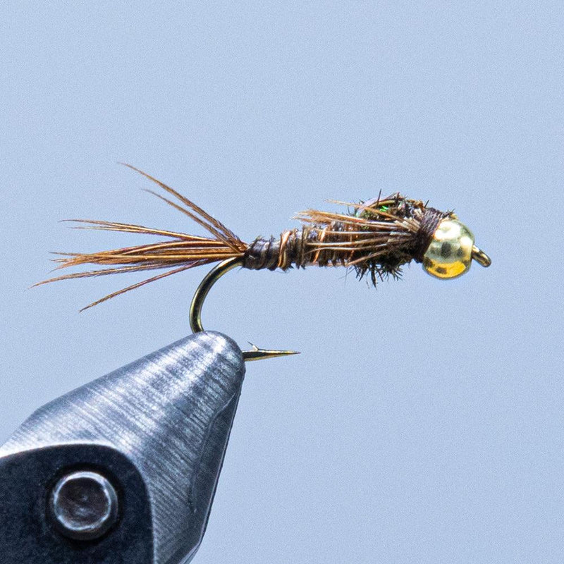 Beadhead pheasant tail fly with golden bead and feather body on hook