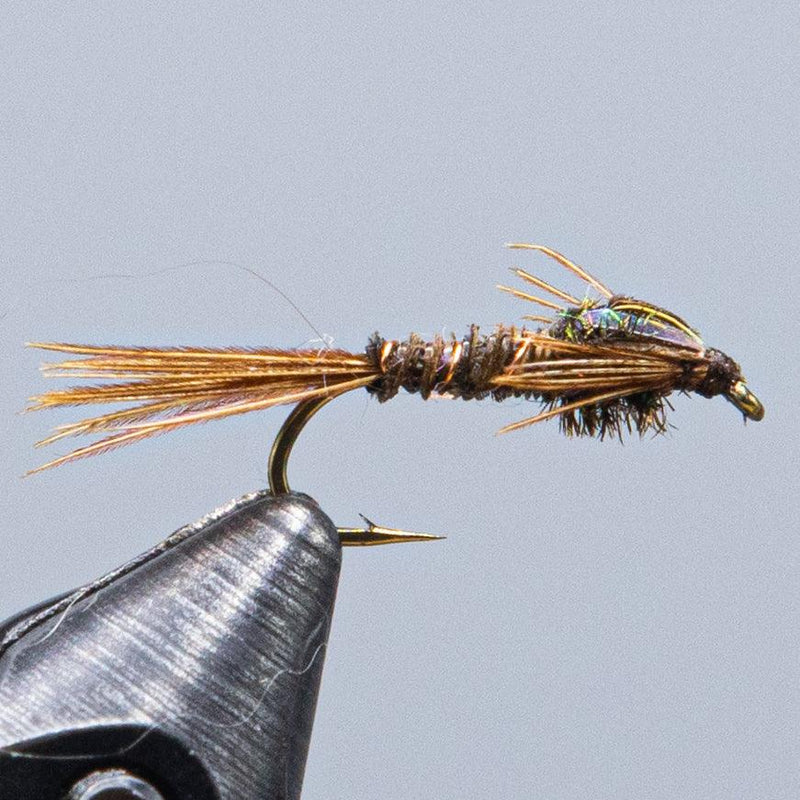 Pheasant Tail fly fishing lure with olive-brown body and golden tail fibers