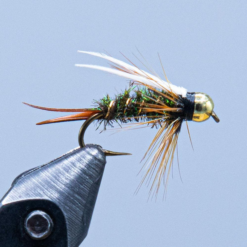 Beadhead fly with gold bead, metallic green body, feather tail on black hook