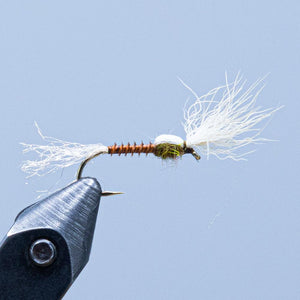 quill body at a maine fly shop