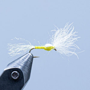 quill body emerger at a maine fly shop