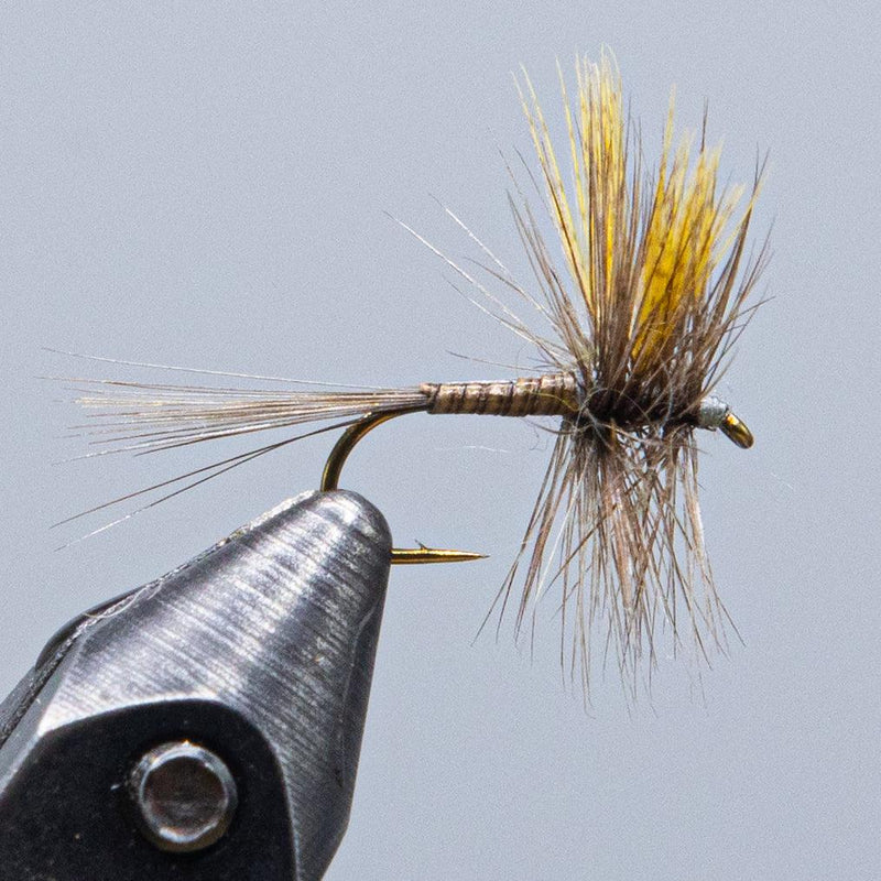 Silver metal fly lure with golden hackle tail and hook point