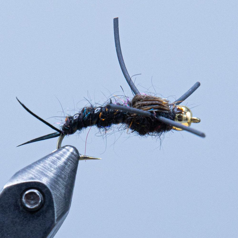 Stonefly beadhead fishing fly with dark bead and black hackle