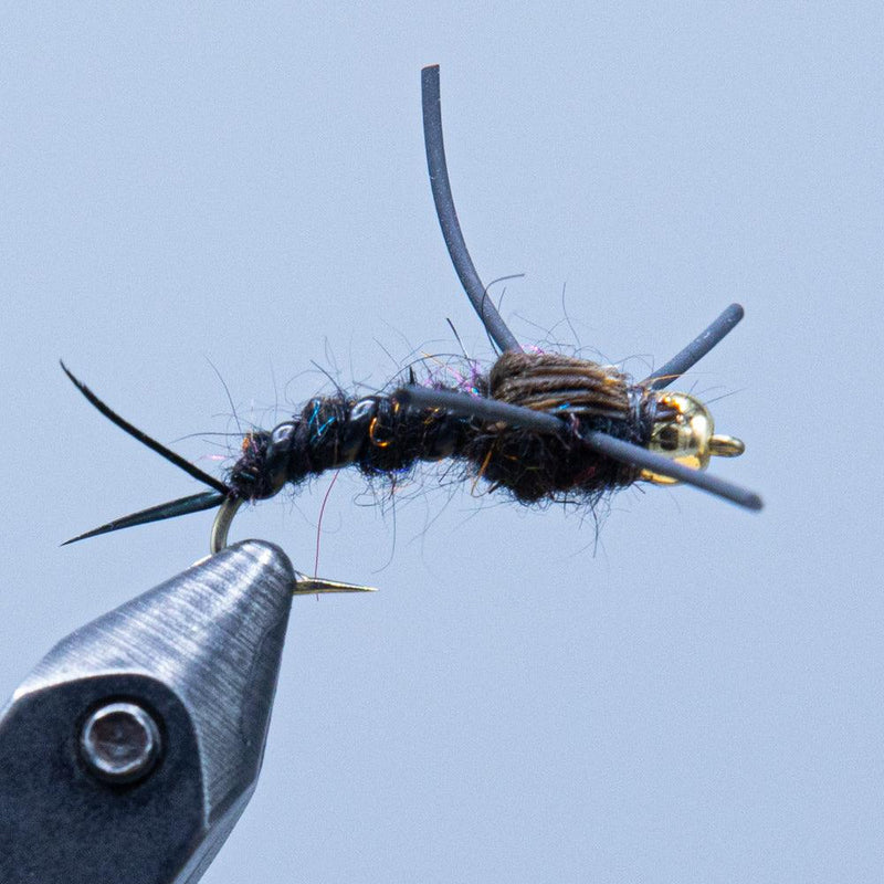 stonefly at a maine fly shop