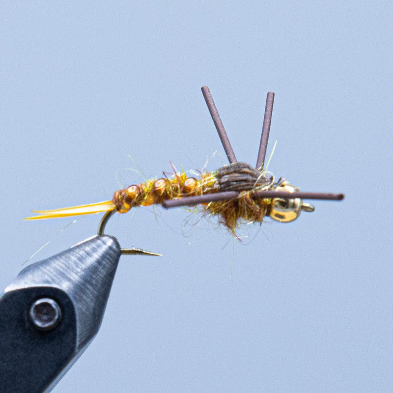 Stonefly beadhead fishing fly with golden bead and two hackle wings