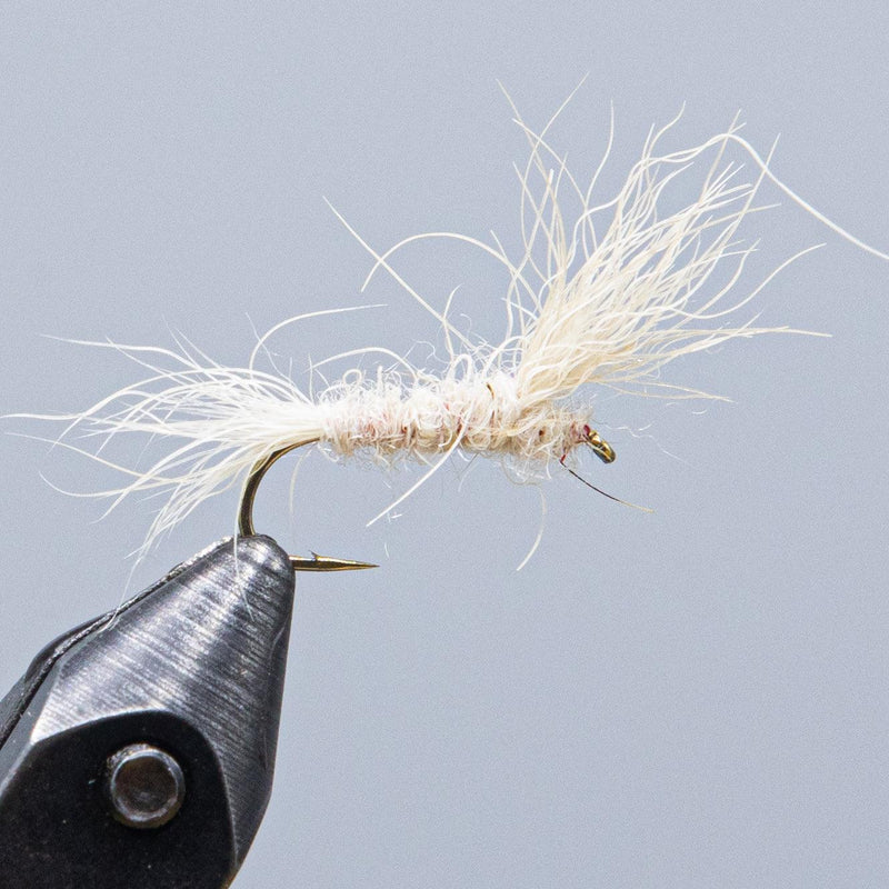 Tied fishing fly with light cream hackle and gold hook