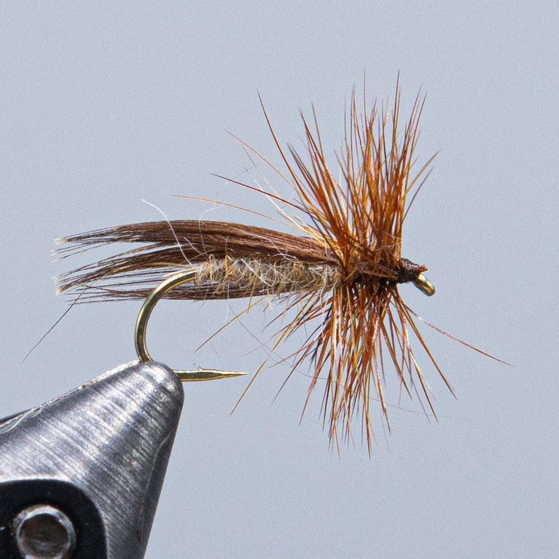 Caddis fly fishing lure with brown and orange fuzzy wing on metal hook