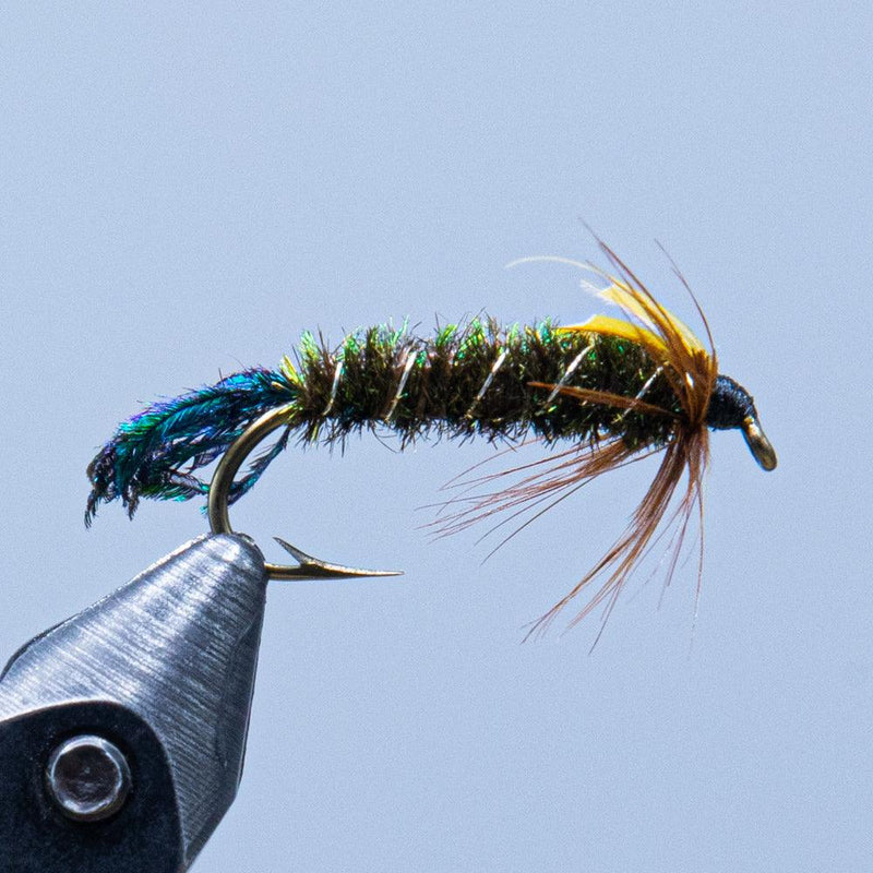 Zug Bug fishing fly with dark body and silver bead head