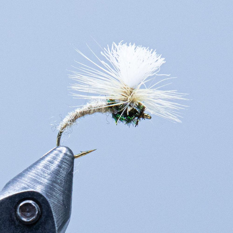 Klinkhamer fly with tan-brown body and white feather hackle on hook
