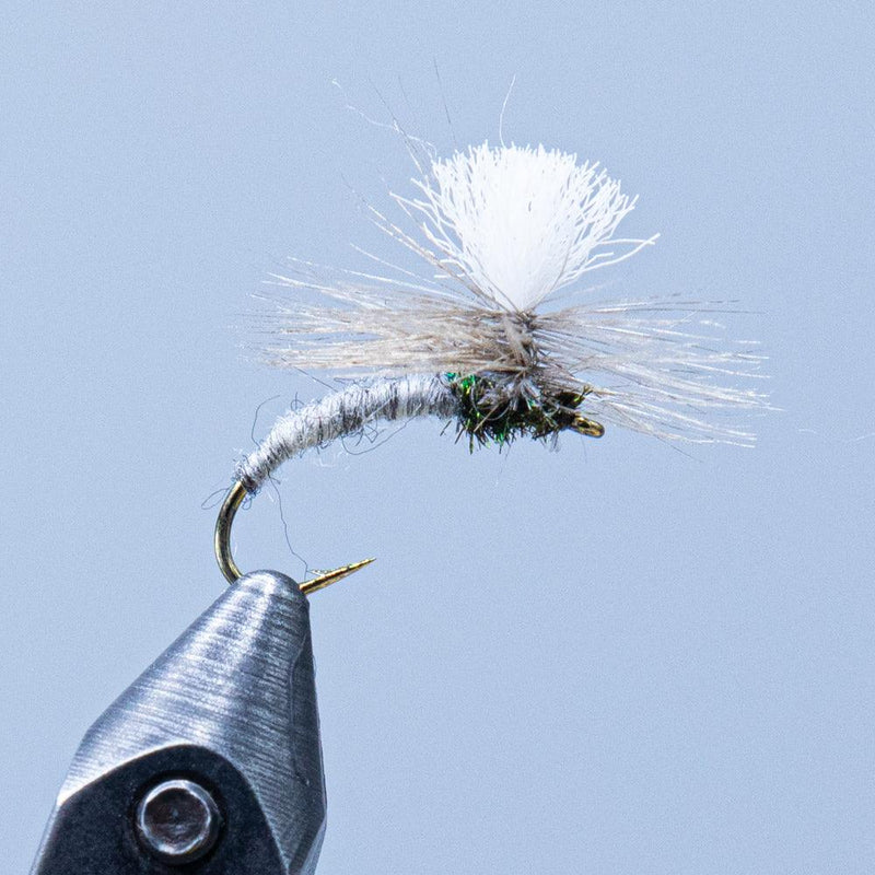 Klinkhamer fly with gray-brown body and white feather hackle on curved hook
