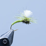 Klinkhamer fly with bright green chenille body and white feather hackle on hook
