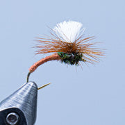 Klinkhamer fly with rust-colored chenille body and white feather hackle on hook
