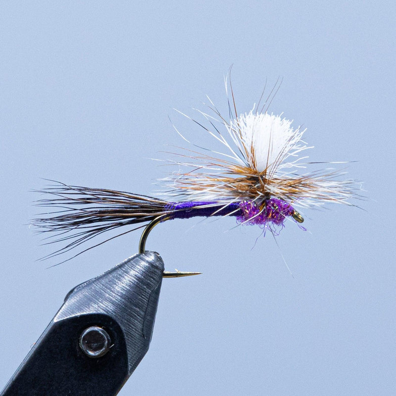 Purple and white feather fishing fly with purple head on black hook