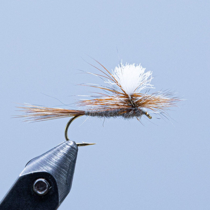 Dry fly fishing lure with dubbed body, parachute wing, and curved hook