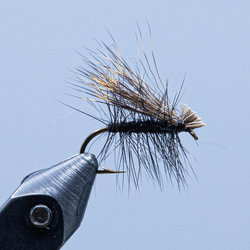 Deer hair caddis fly with dark hair wing and dark body, curved hook